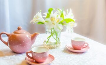 Nursery & EYFS Photography – Cross Houses Area