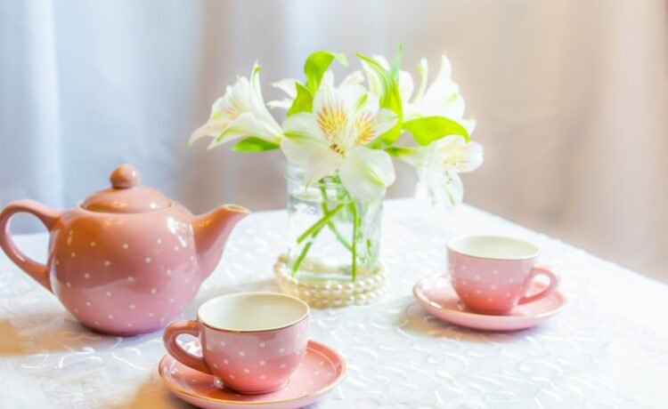Nursery & EYFS Photography – Cross Houses Area