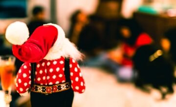 Capturing Christmas Cheer: School Photos in Shrewsbury