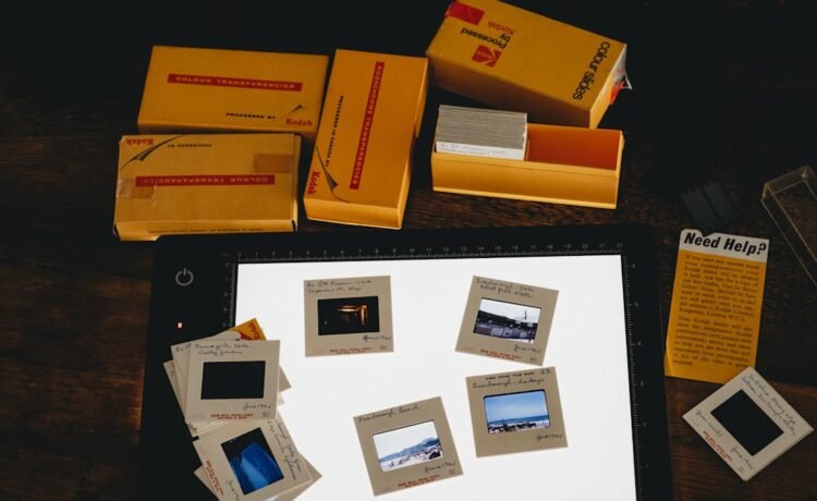 Nursery Photography Packages – Bicton Heath