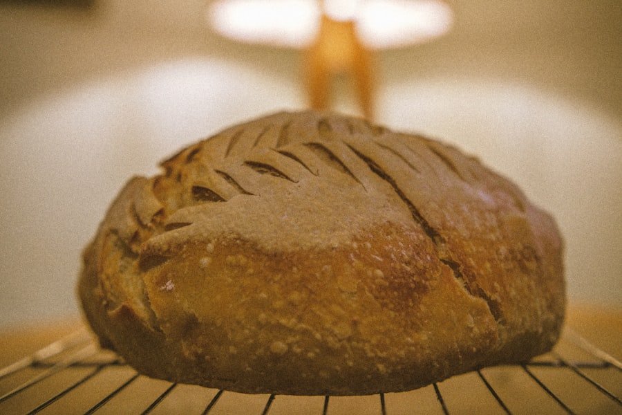 Photo photography business