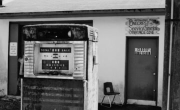 Nursery and School Photography Services – Belle Vue